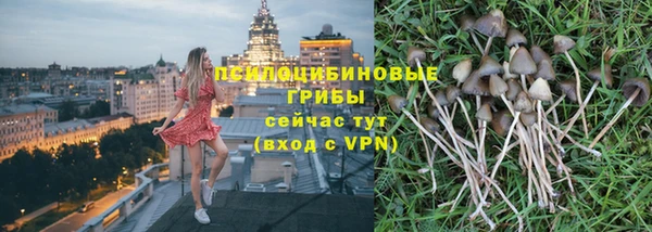 меф Заводоуковск