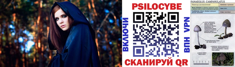 где купить наркоту  сайты даркнета какой сайт  Псилоцибиновые грибы MAGIC MUSHROOMS  Славск  ссылка на мегу рабочий сайт 